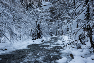 winter landscape in uzungol