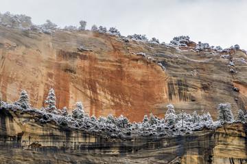 Cliffs of Zion Canyon after the snowfall