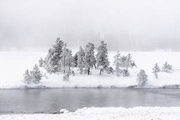 Obraz na płótnie Canvas Yellowstone National Park, Winter scene