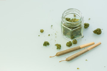 Cannabis flowers on light blue background with copy space