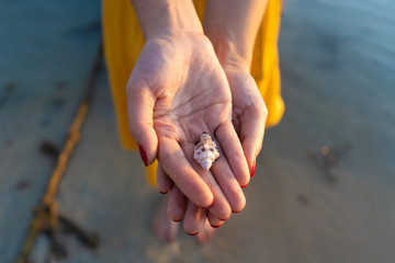 Top view of a girl in a yellow dress holding a seashell in her hands while standing in the water. Hands close up.