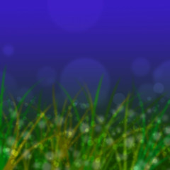Obraz premium bokeh on grass with blue