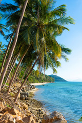 Fototapeta na wymiar Sandy beach of a paradise deserted tropical island. Palm trees overhang on the beach. White sand. Blue water of the ocean. Rest away from people