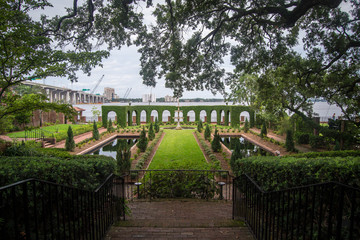Lush garden landscape