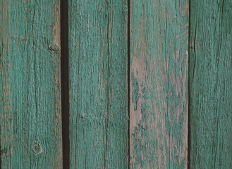 Wooden door with peeling paint and vintage handles with space for text