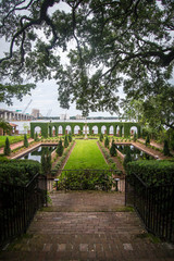 Lush garden landscape