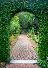 Garden arc covered in greenery