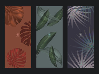 Set Nature minimal banner for branding packaging. Tropical summer plant and leaf with ink brush black outline stoke. For spa resort luxury hotel, yoga, beauty, cosmetic, texture. vector illustration