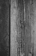 Wooden door with peeling paint and vintage handles with space for text