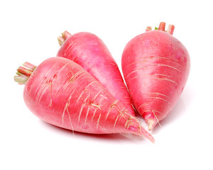 Radish on white background