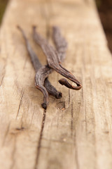 Close up of vanilla bean pods on wooden plank