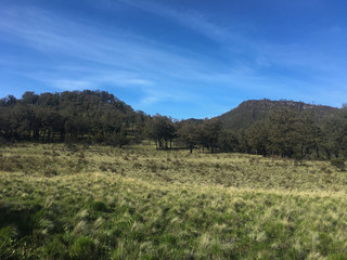Wonderfull morning with cloudy sunrises on savana mount lawu central java