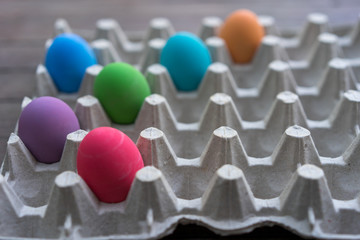 Obraz premium Colorful eggs in the egg tray, 6 leaves, blue eggs, orange eggs, purple eggs, green eggs, pink eggs, dark blue eggs