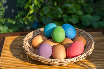 Fototapeta na wymiar Colorful eggs in the egg tray, blue eggs, orange eggs, purple eggs, green eggs, pink eggs, dark blue eggs