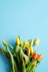 Bouquet of colorful tulips on blue background. Copy space 