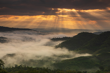 Phu Pha Nong, Landscape sea of mist  in border  of  Thailand and Laos, Loei  province Thailand.