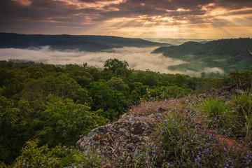 Phu Pha Nong, Landscape sea of mist  in border  of  Thailand and Laos, Loei  province Thailand.