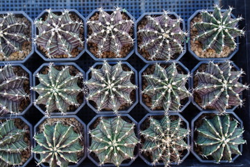 background of fishing net