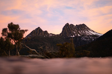 Evening on Cradle Mountain