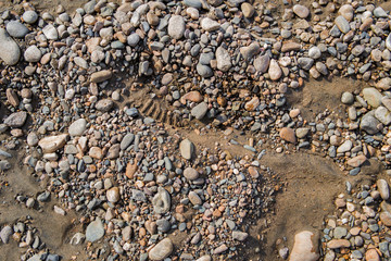 Pebble stone background. Sea Pebble. Beach stones. Natural background. Stone texture