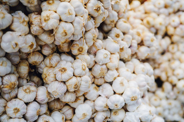 pile of raw garlic 