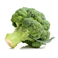 fresh green broccoli isolated on white background