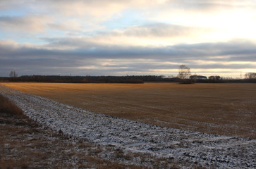 field in winter in the rays of the sunset with dry grass illuminated by bright light with snow