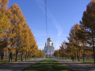 Belaya Tserkva Orthodox Church with Golden domes beautiful architecture religious Cathedral in a Park with trees in autumn