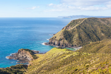 A Small Cove Near Cape Reinga