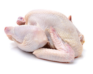 raw hen on a white background