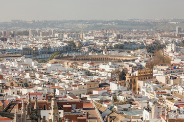 Fototapeta na wymiar Panorama cityscape aerial view of Seville Spain. Arena of bullfighting in Seville