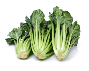 Obraz premium Fresh harvested Tah Tsai lettuce isolated on white. Tah Tsai or (Tatsoi) a commly used green leaf vegetable in Chinese and oriental dishes.