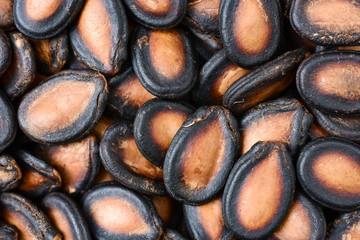 Watermelon seeds background