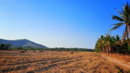Agriculture field after harvest with mountain view landscape., Thailand.