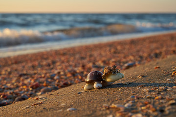 Image of a turtle made from shells. Handmade.