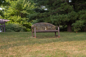 Empty Bench on Side of Hill