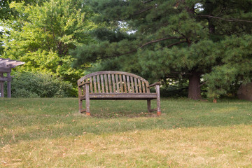 Bench on Side of Hill