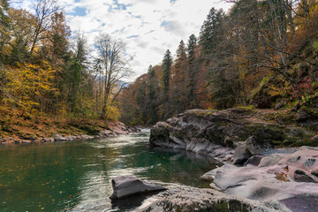 Clean mountain river in the autumn forest.