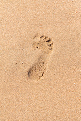 Fototapeta na wymiar Footprint on a wet sandy beach in the sand.