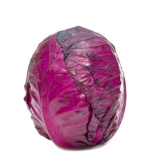 Purple cabbage on an isolated white background.
