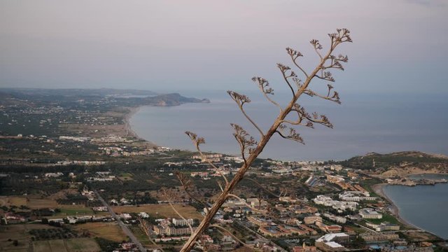 Aerial view of the coast of Kolymbia with a dry branch in the foreground, Rhodes Island, Greece