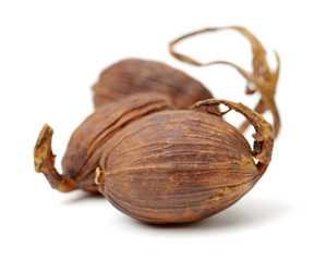 Black cardamom on a white background 