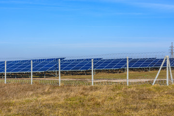 Fototapeta premium Many solar panels in a field. Clean energy. Ecological concept