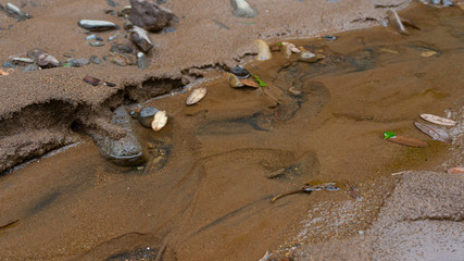 River bank with water turmoil in the sand. Images suitable for use as wallpaper or graphic material