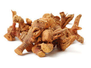 Dried galangal root isolated on white background