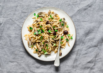 Healthy vegetarian lunch - orzo mushroom paste  on a grey background, top view. Copy space