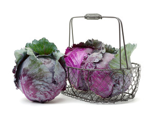 Purple cabbage isolated on white background