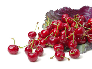 Cherry isolated on white background