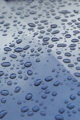 Midnight Blue and Water Droplets