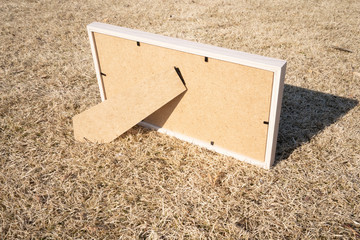 白い額の後ろ姿